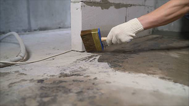 24/7 Emergency Wet Basement Repair experts in Gruetli-Laager, TN